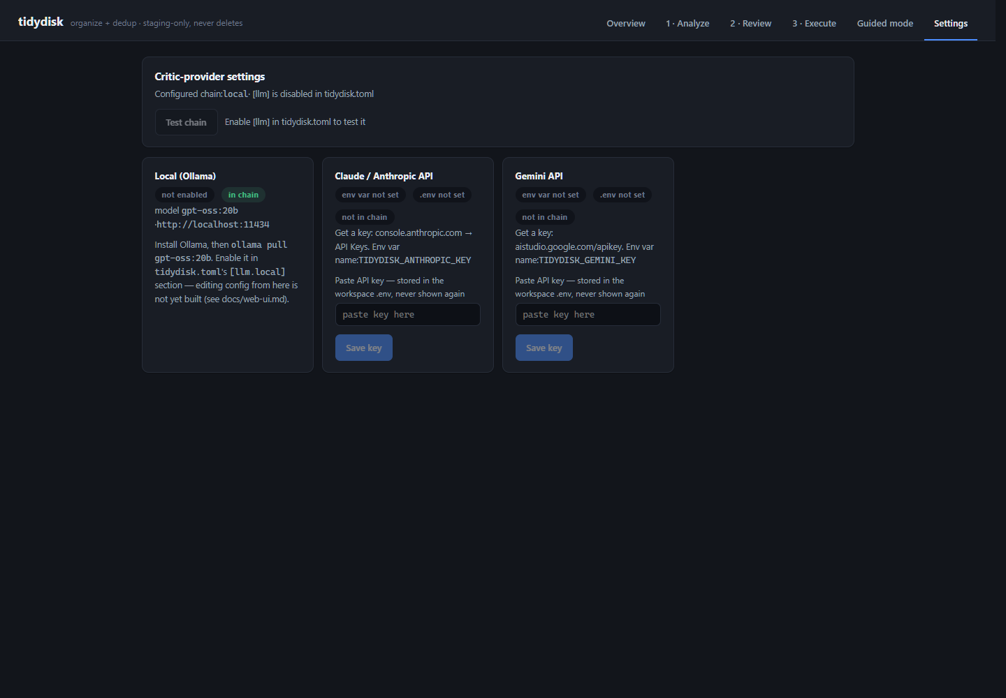 tidydisk settings screen: three critic-provider cards for local Ollama, Anthropic API, and Gemini API with key status chips